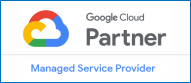 Google cloud partner managed service provider