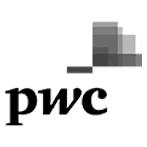 NTT Partner - PWC